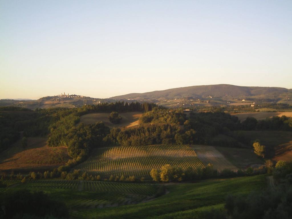 Agriturismo Azienda Agricola La Roccaia サン・ジミニャーノ エクステリア 写真