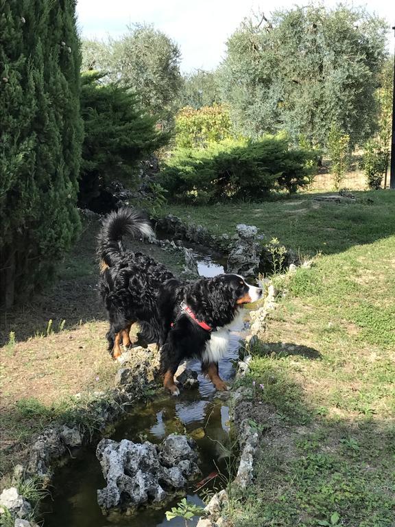 Agriturismo Azienda Agricola La Roccaia サン・ジミニャーノ エクステリア 写真